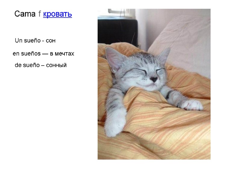 Cama f кровать  Un sueño - сон en sueños — в мечтах de